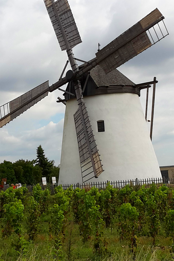 holländische Windmühle
